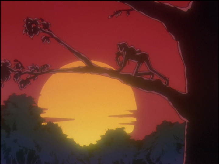 Chu-Chu as Saionji eats a banana while on a tree branch, silhouetted by the setting sun.