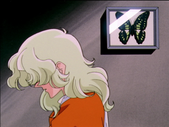 The butterfly in the confession elevator display case, with a black and green pattern.