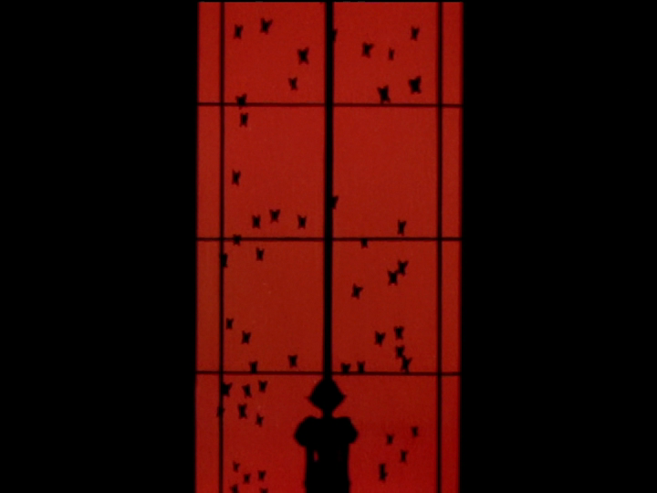 The butterflies are revealed as outside a red-lit window of the music room.