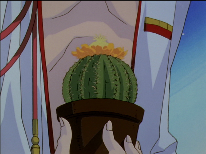 Touga holds his cactus in episode 35, with a yellow bloom.